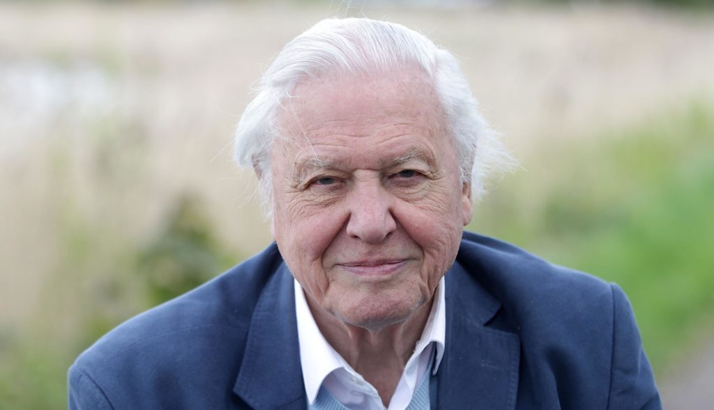 Sir David Attenborough Is Teaching Kids Geography Online Through BBC S   2019 06 06 DavidAttenboroughB 1024x589 