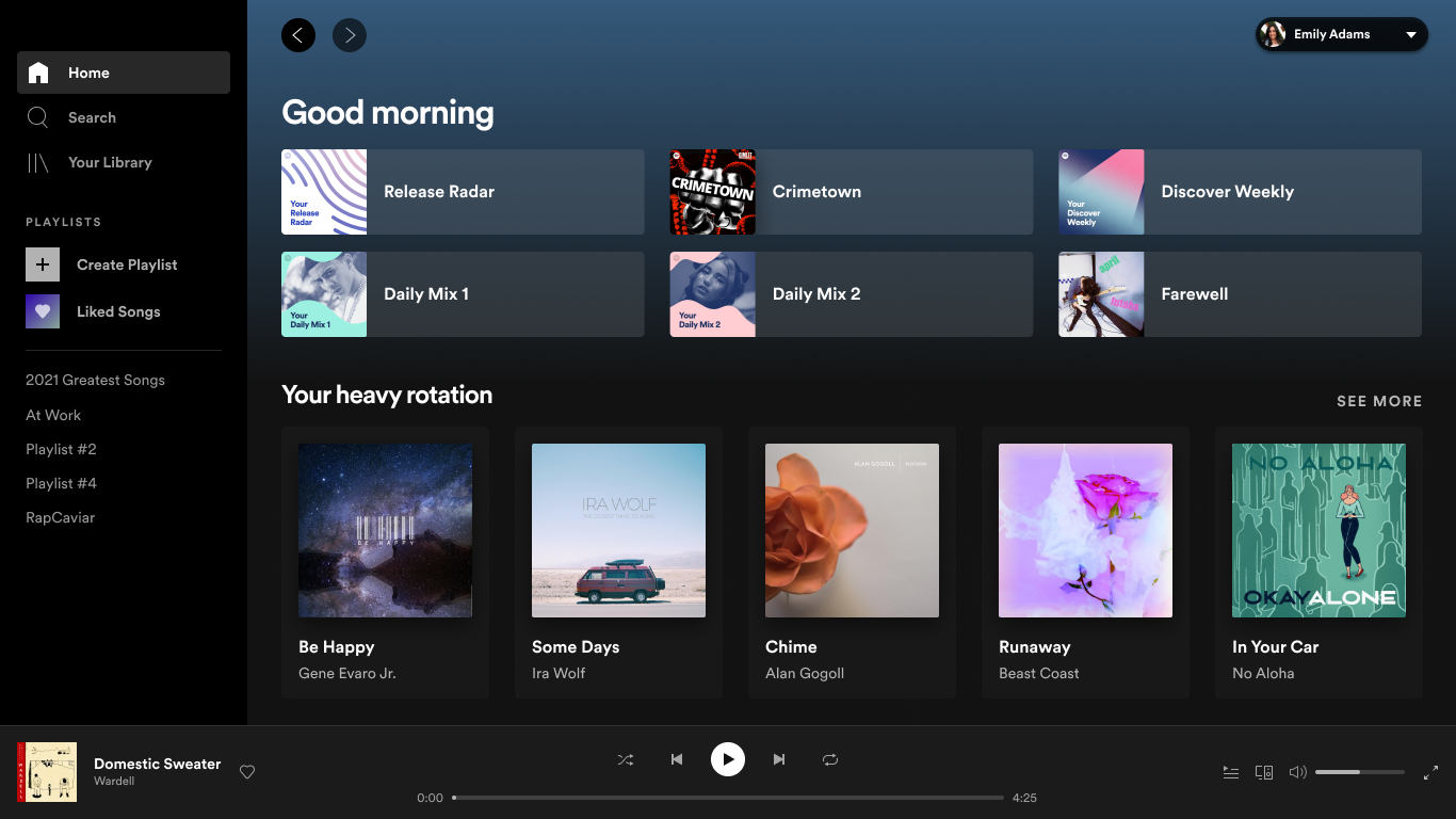 spotify for laptop