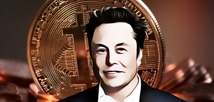 elon musk new crypto currency