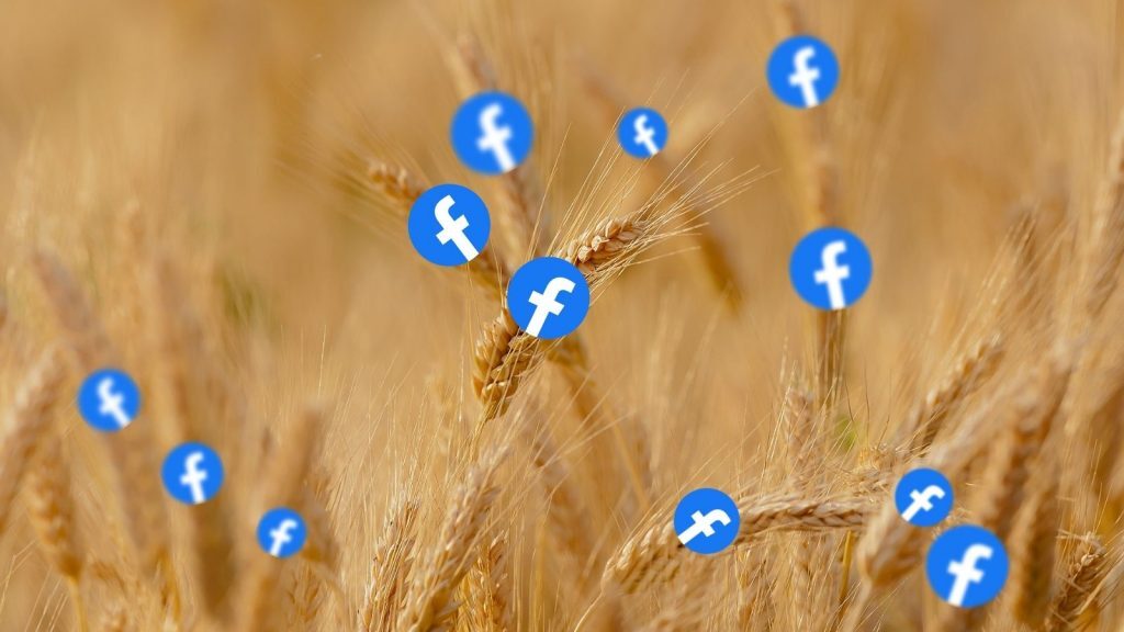 Facebook Play Store app harvest