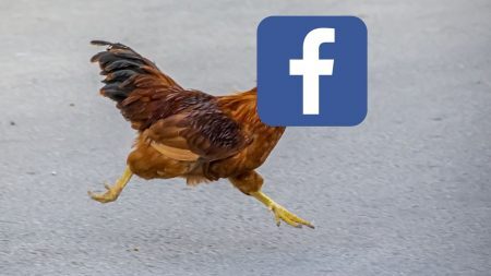 Facebook won't face parliament