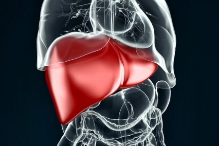 liver nasa