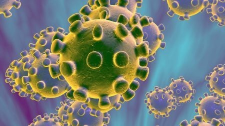 Coronavirus Vaccine rollout halted
