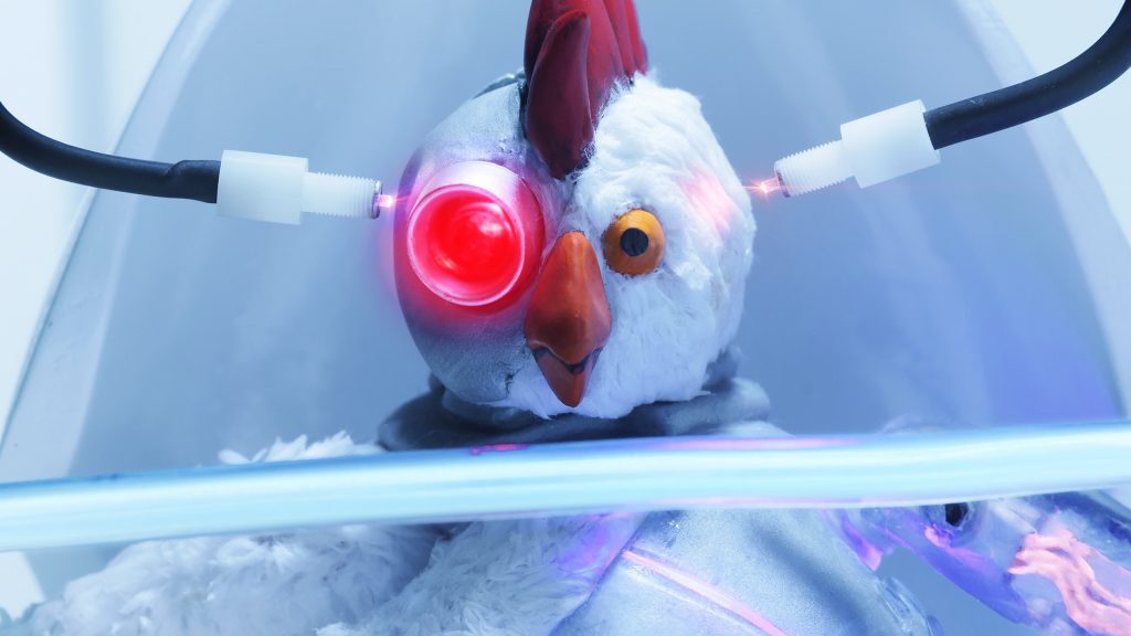 Showmax Robot Chicken