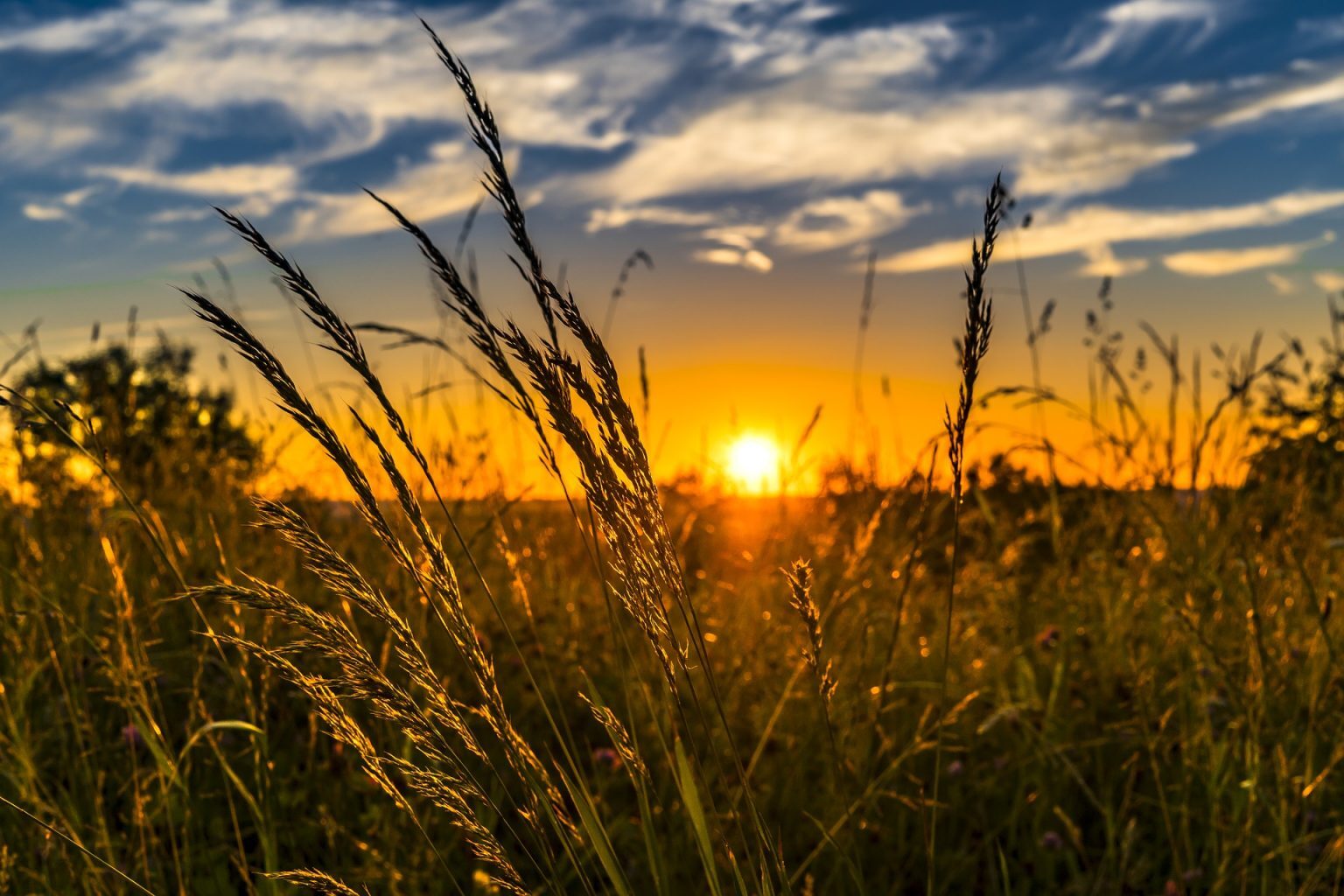 farming nanotech