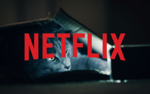 Netflix Cat