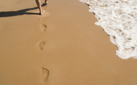 digital footprints