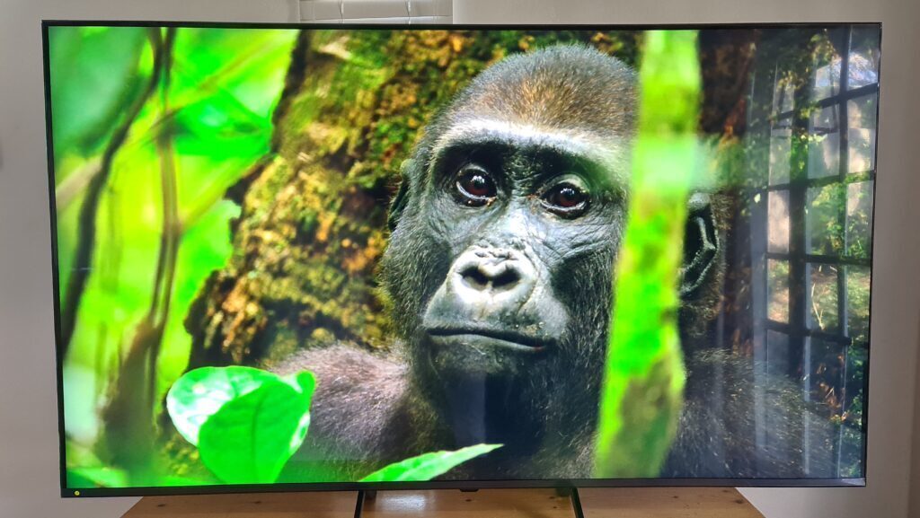LG QNED 65in 4K
