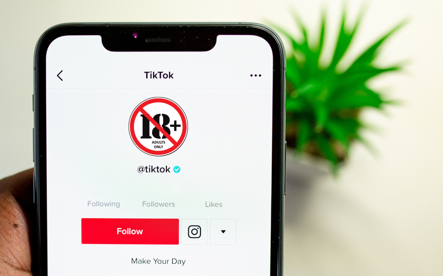 TikTok