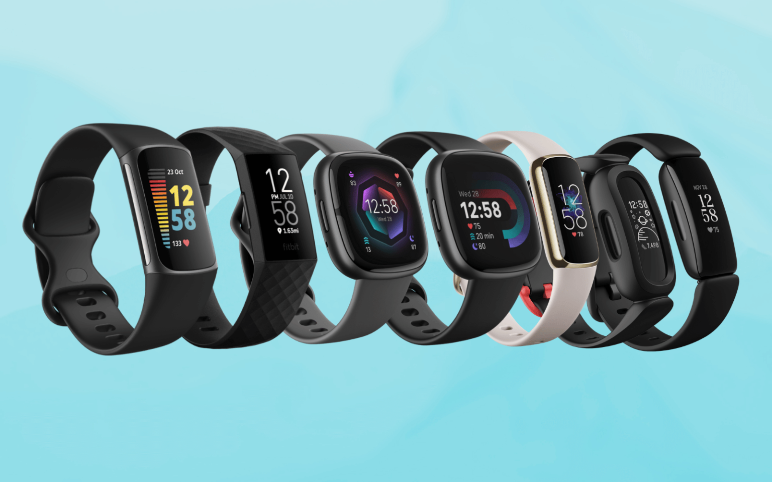 Fitbit Guide Main