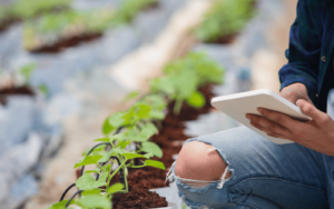 computer agriculture