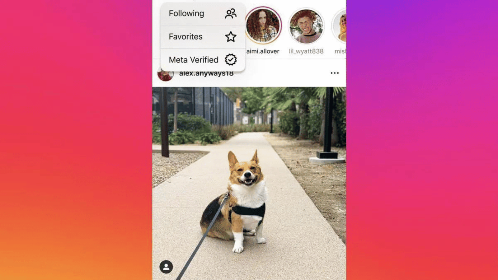 Instagram verified-only feed