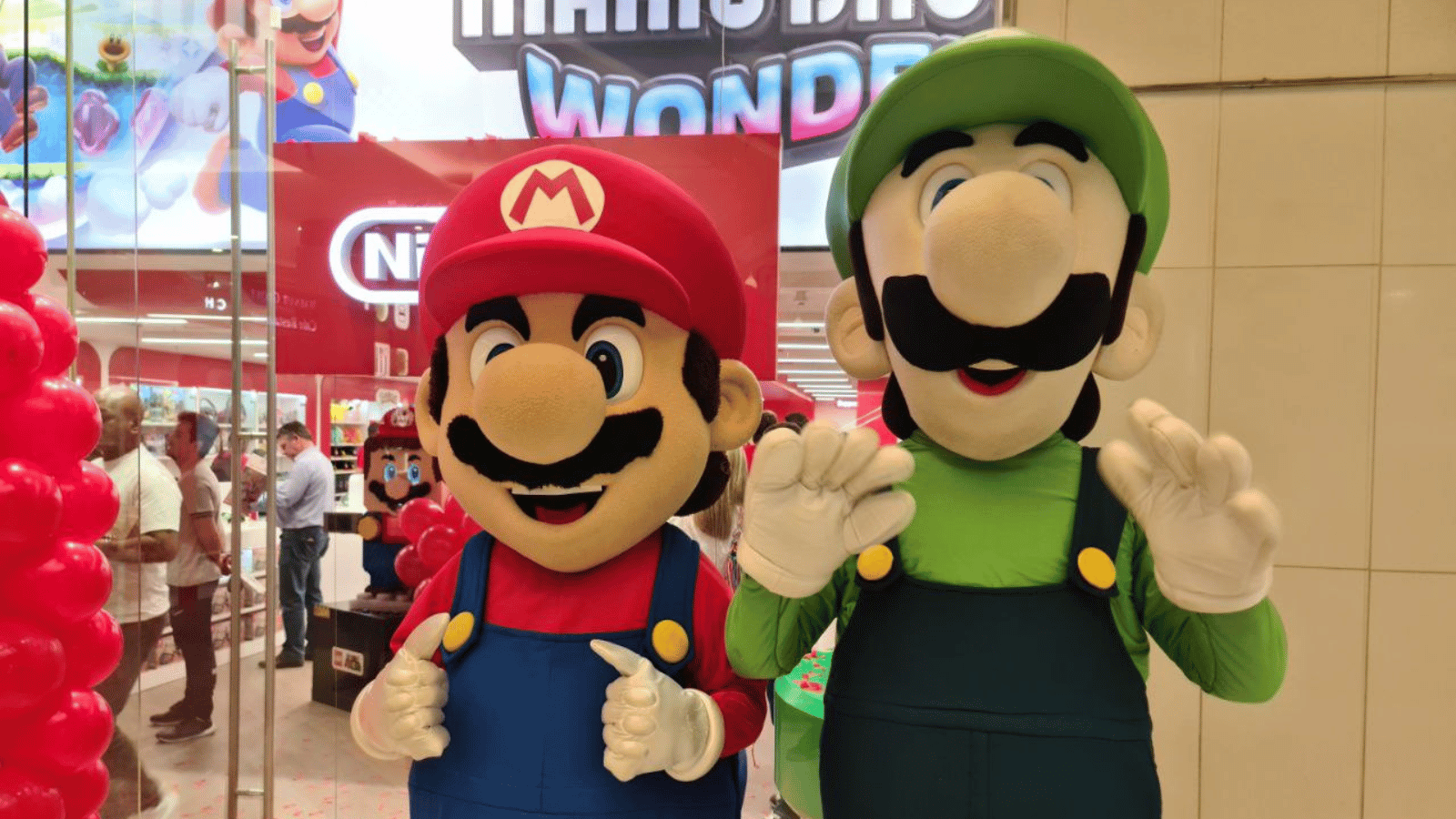 Nintendo Store - Maro + Luigi
