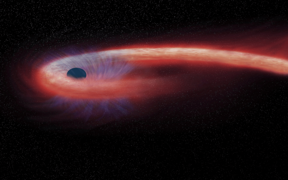 Why Are Some Black Holes Bigger Than Others? An Astronomer Explains How