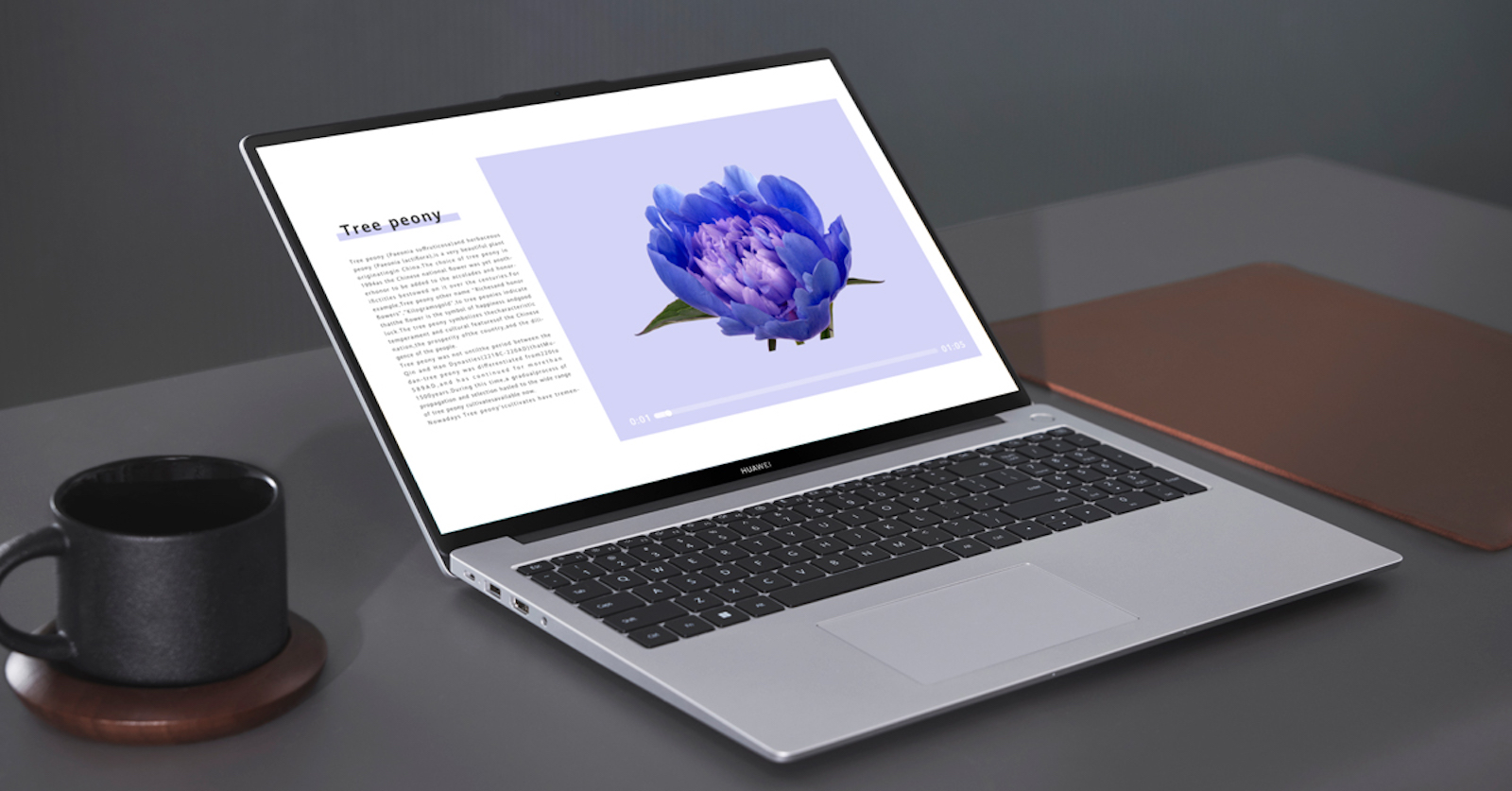 HUAWEI MateBook D 16 Review — more screen, more power! 