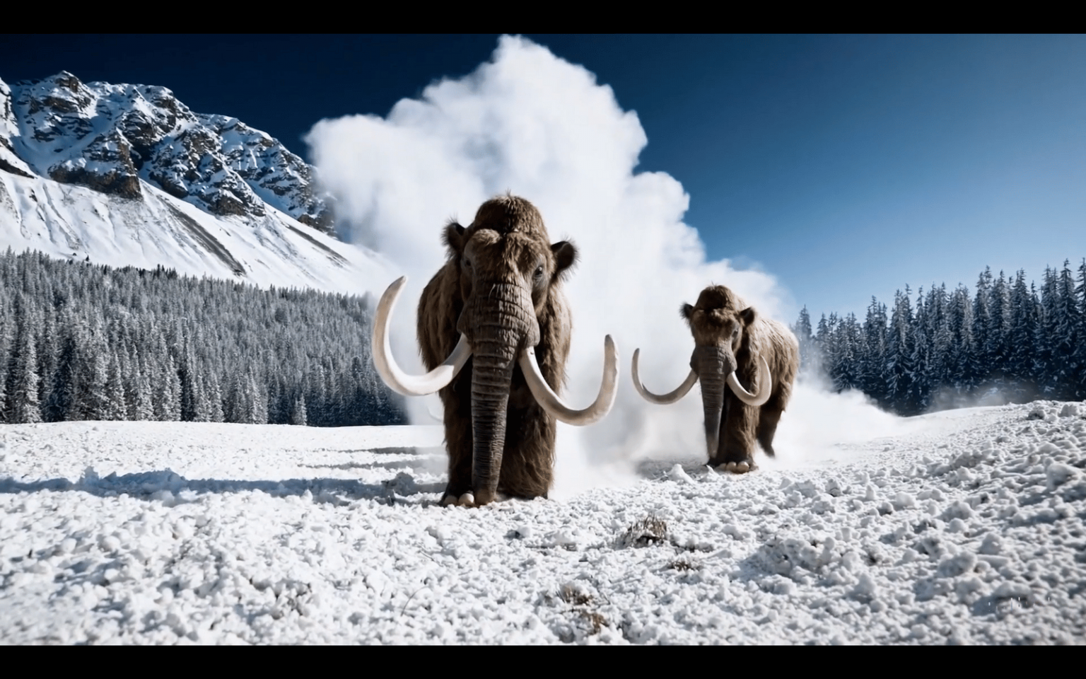 Sora-generated wooly mammoths approaching the camera