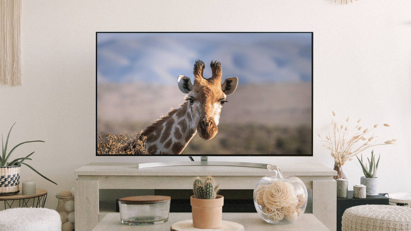 Safari on TV (WildEarth)