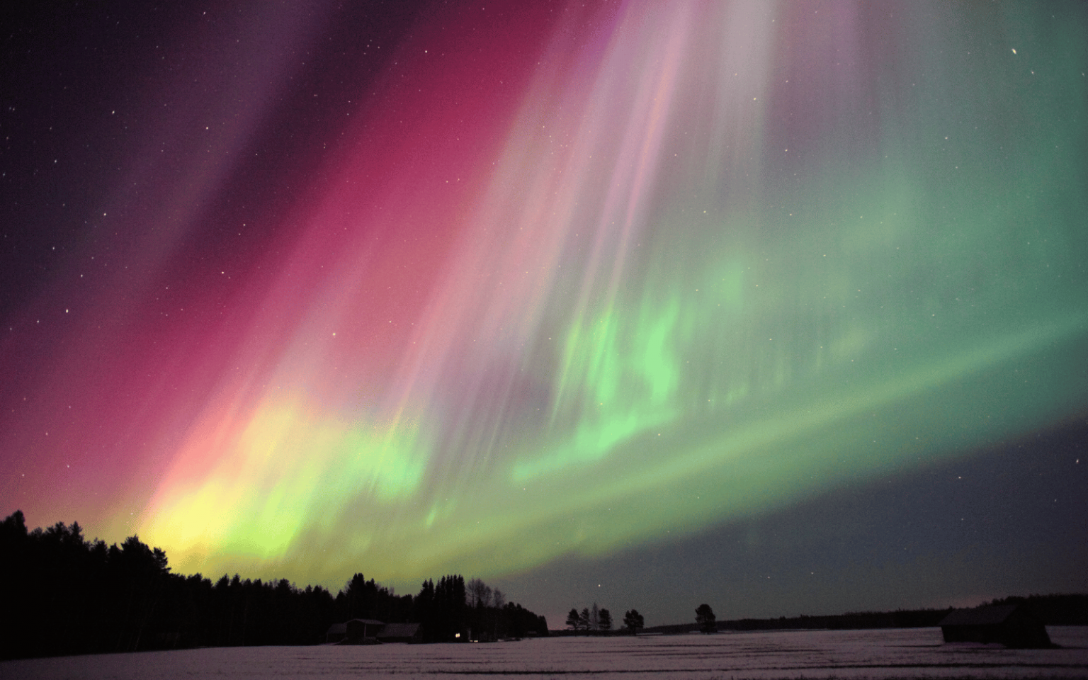 Aurora header (camera)