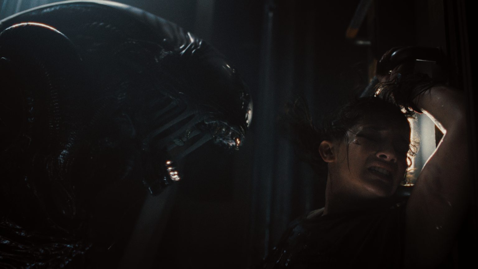 Alien: I'd like to talk to you about your car's extended warrenty