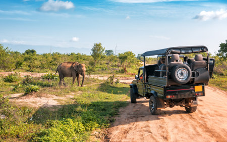 Uber Game drive