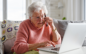 Old lady phone scam (voice cloning), media literacy