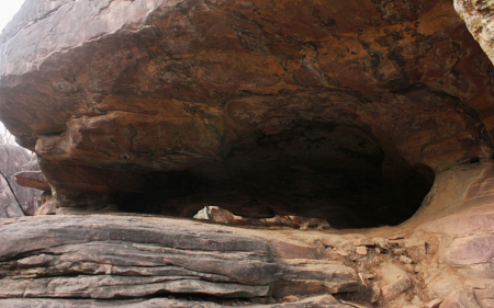 Rock Shelter header (DNA)