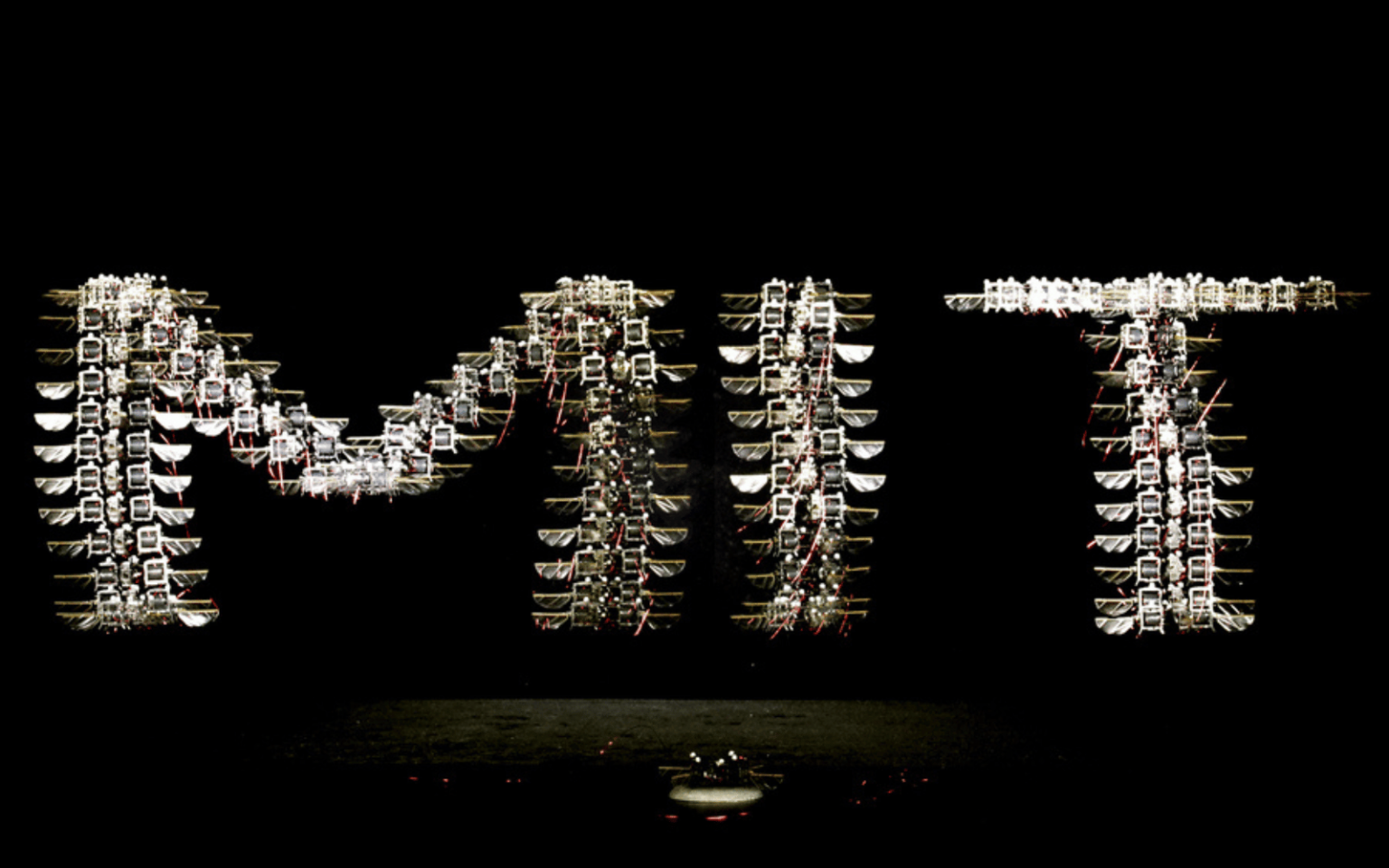 MIT Insect Swarm
