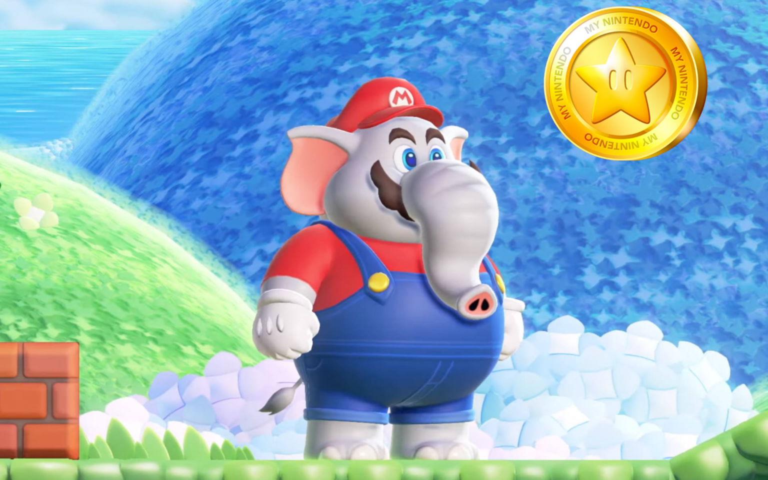 Nintendo Gold Points header