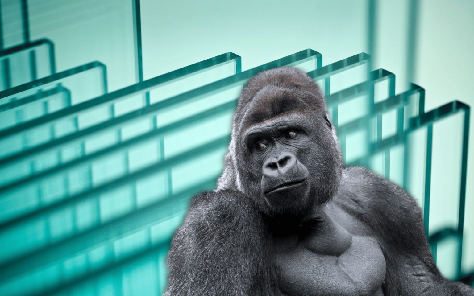 Gorilla Glass Ceramic