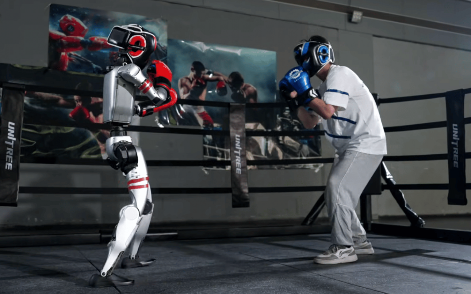 Unitree G1 boxing