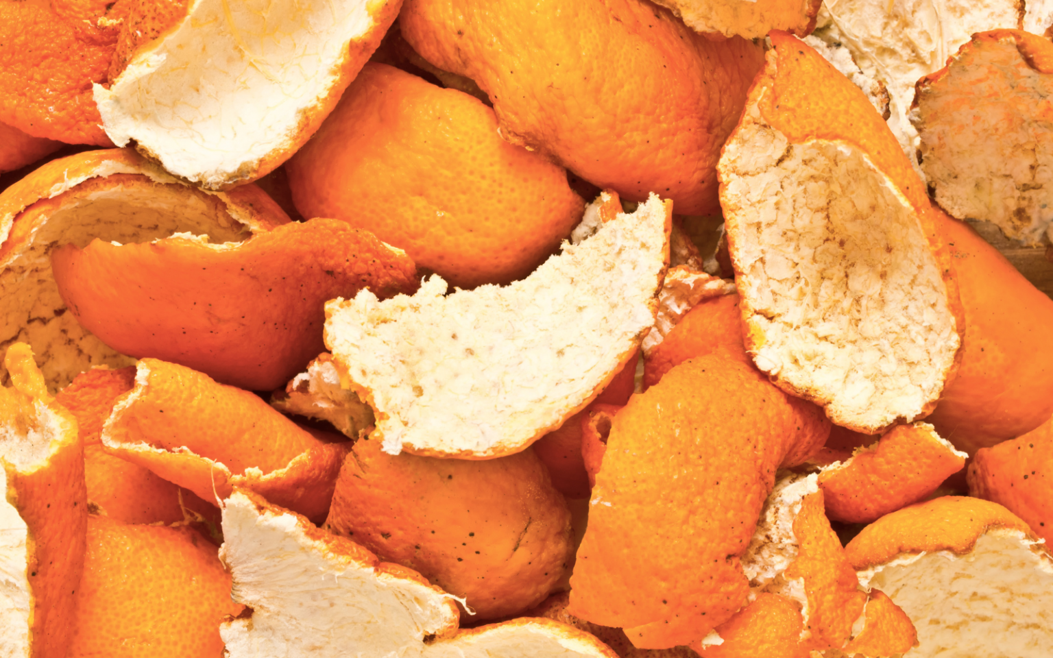 fruit peels smartphone camera header