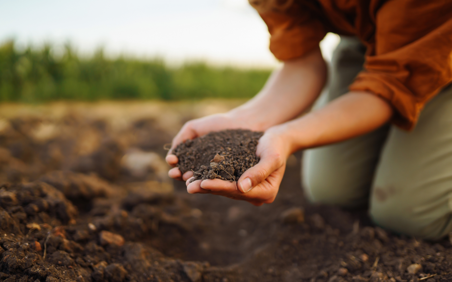 Declining soil health is a global concern – here’s how AI could help soil health (AI) header
