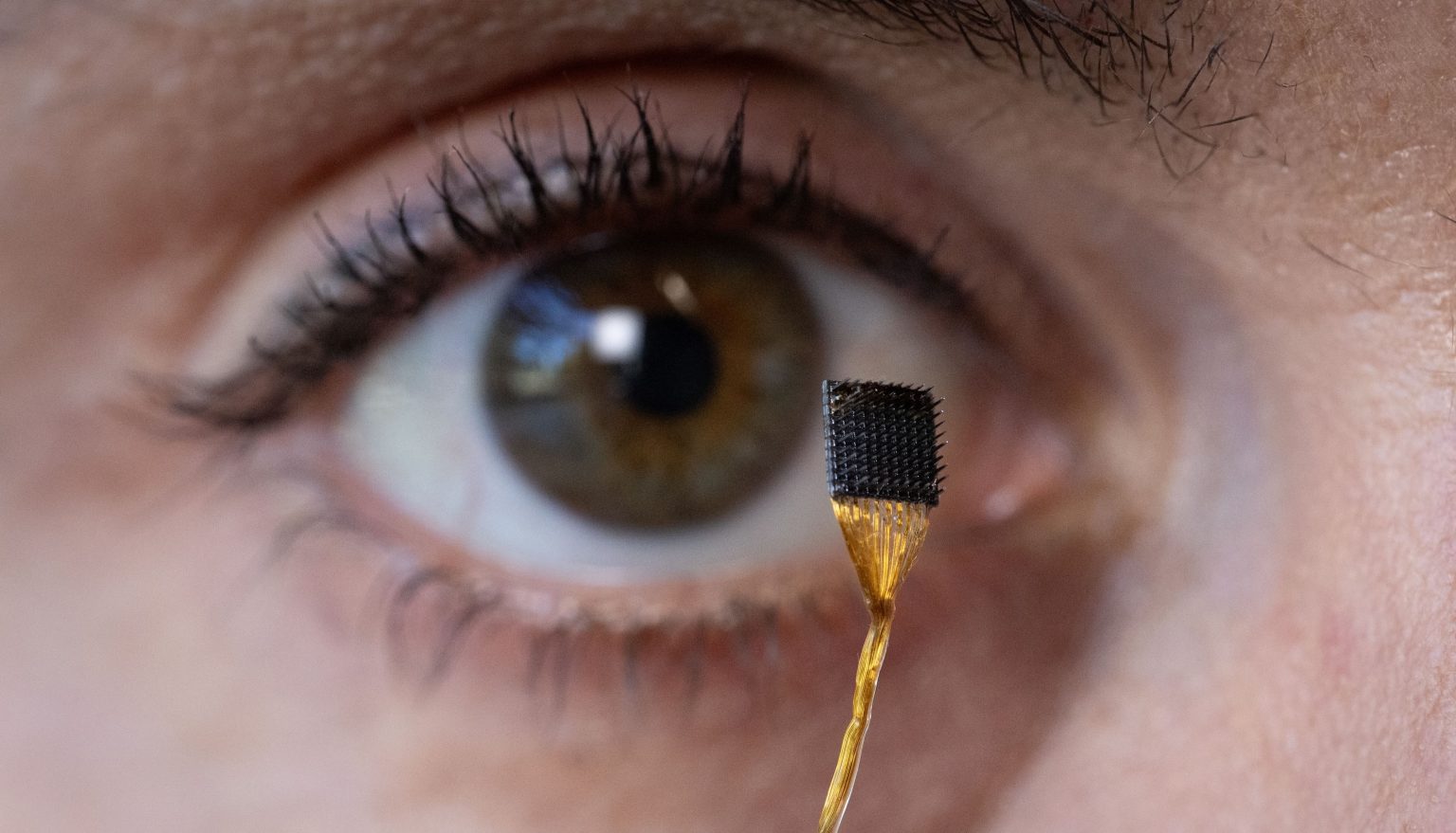 Stanford researchers are working on a brain-computer interface that can decode imagined speech Stanford Brain Computer Interface main