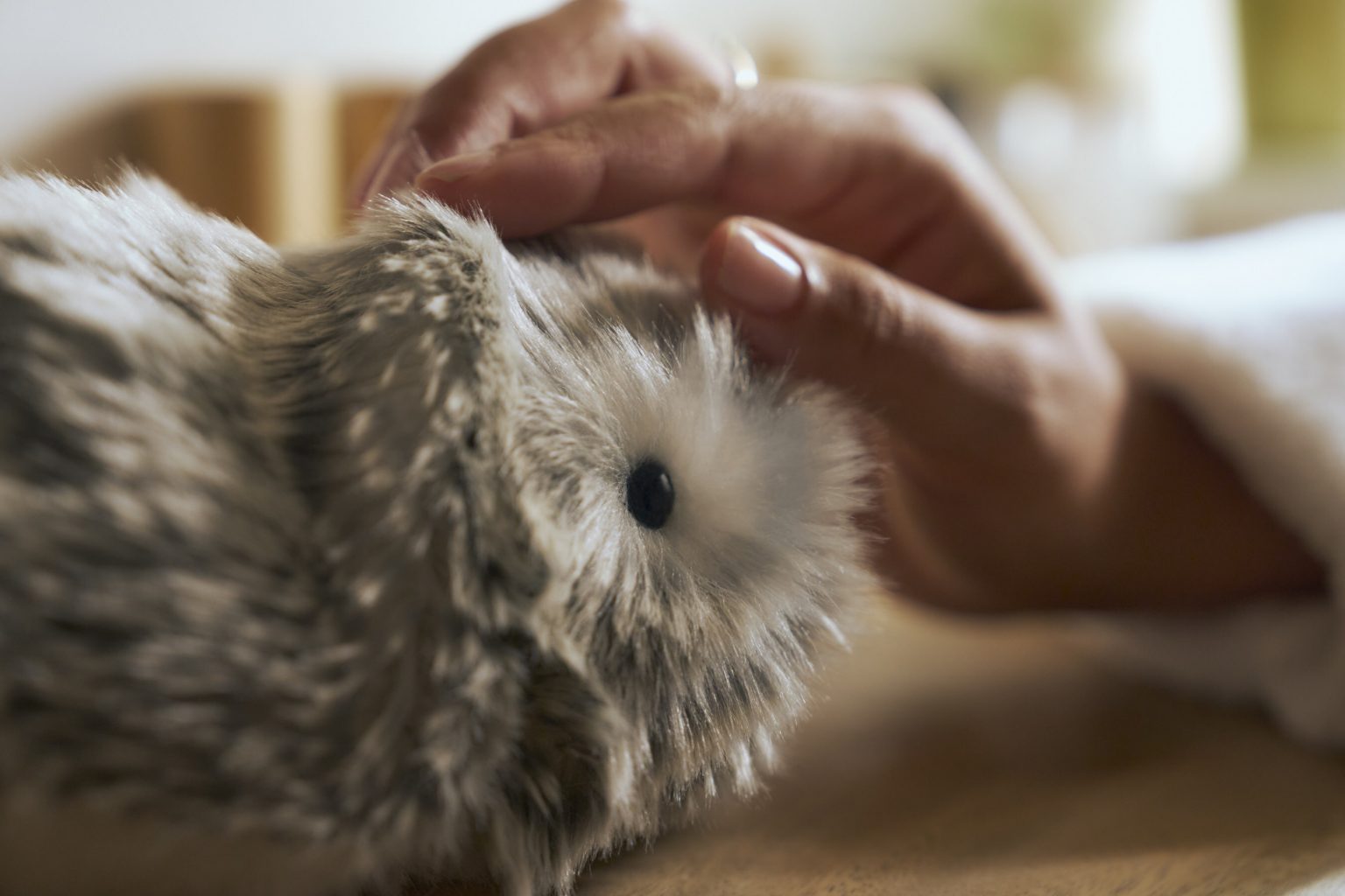 Casio’s Moflin is an electronic pet that uses AI to develop a personality over time Moflin main