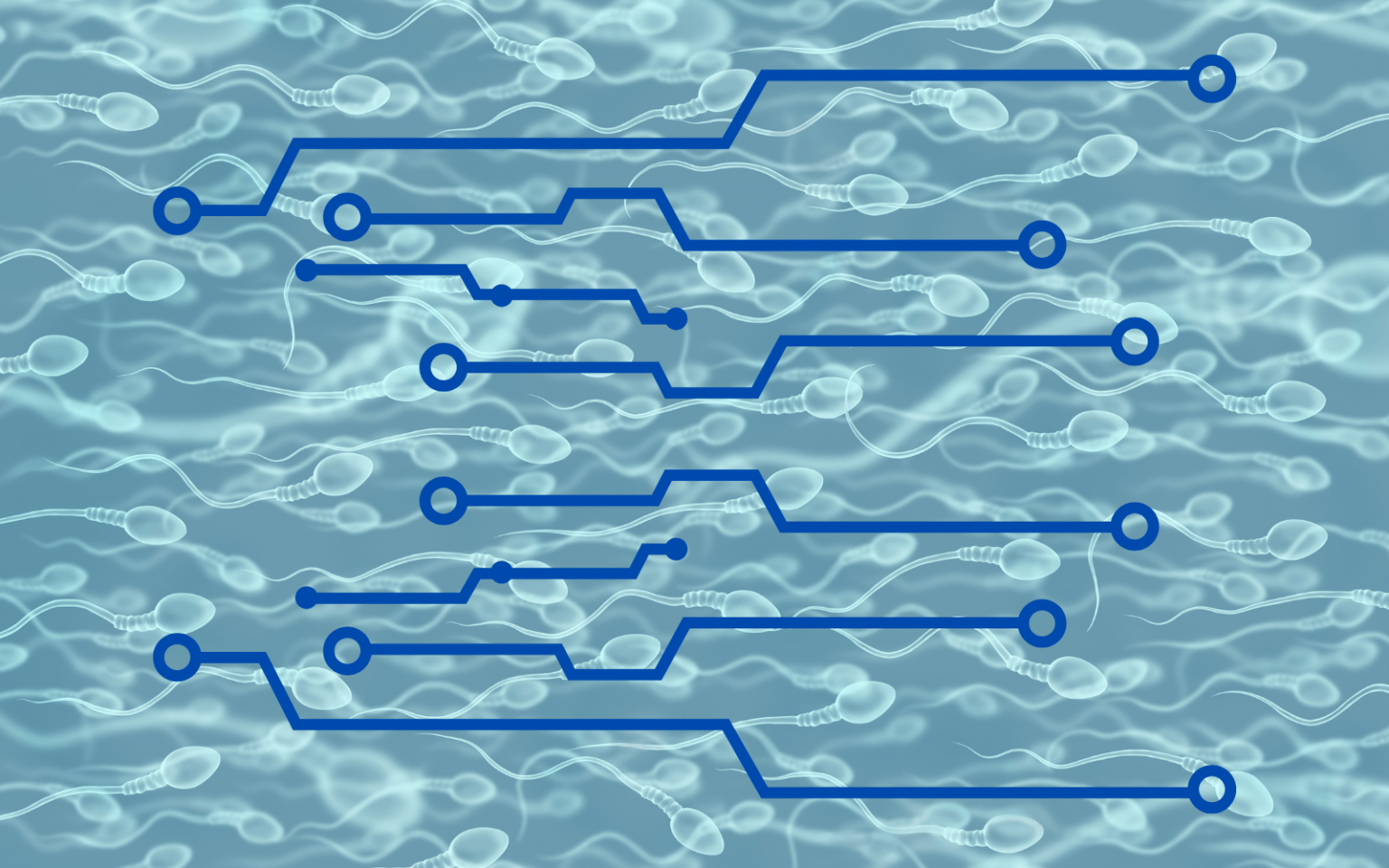 Scientists turn sperm into magnetically-controlled “biohybrid microrobots” Robotic Sperm