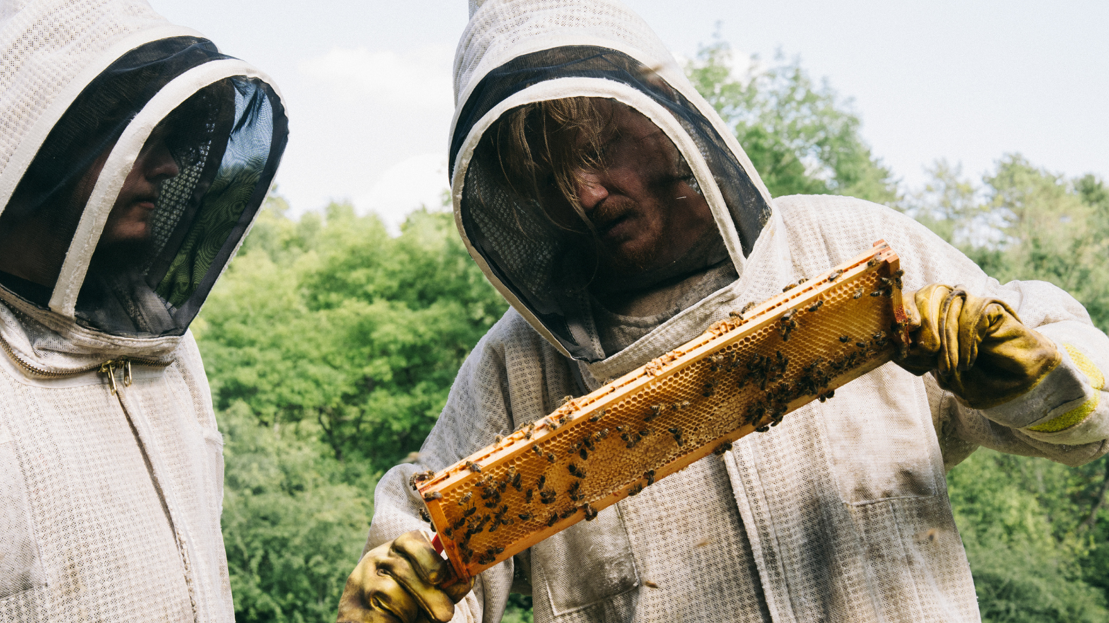 Bugonia movie review intext 5