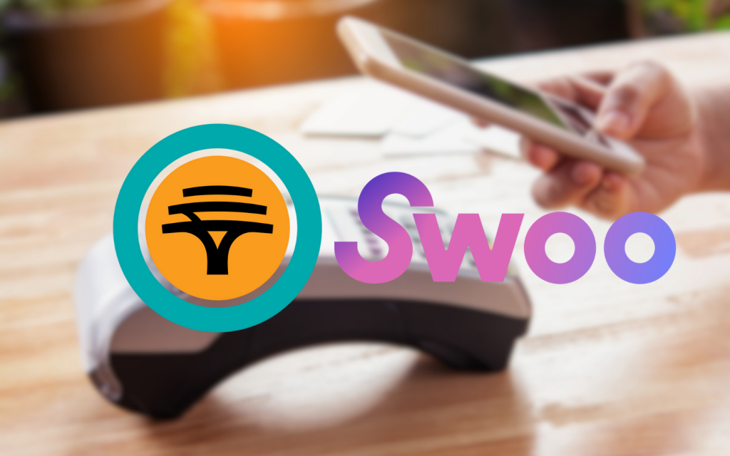 FNB Swoo Pay header