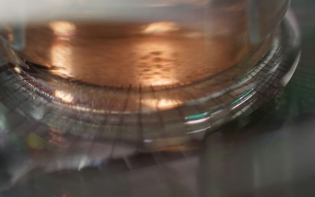 A microelectrode array covered with neurons, computers. Bram Servais header