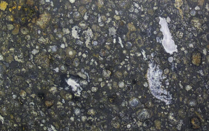 Can scientists detect life without knowing what it looks like? Research using machine learning offers a new way Many carbon-rich meteorites contain ingredients commonly found in life, but no evidence of life itself. header