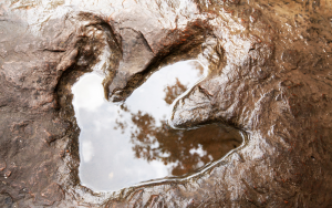 Dinosaur footprint (AI) header