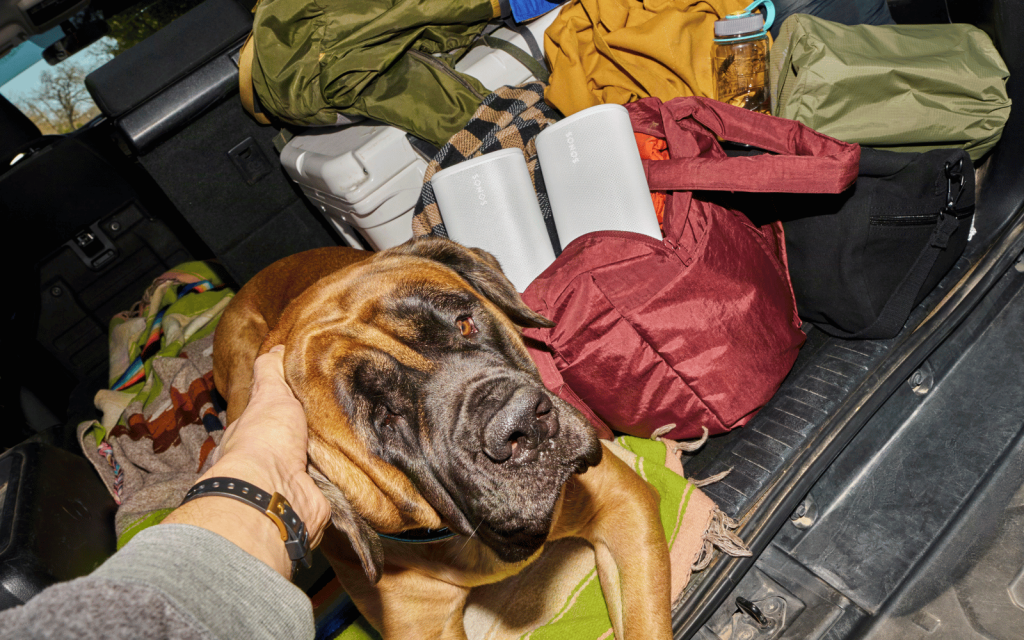 Sonos Play with Doggo