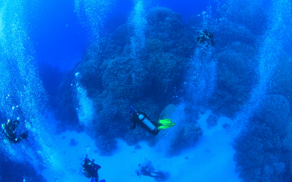 deep-sea marine life (AI) header