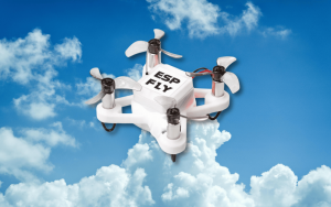 ESP-FLY 1