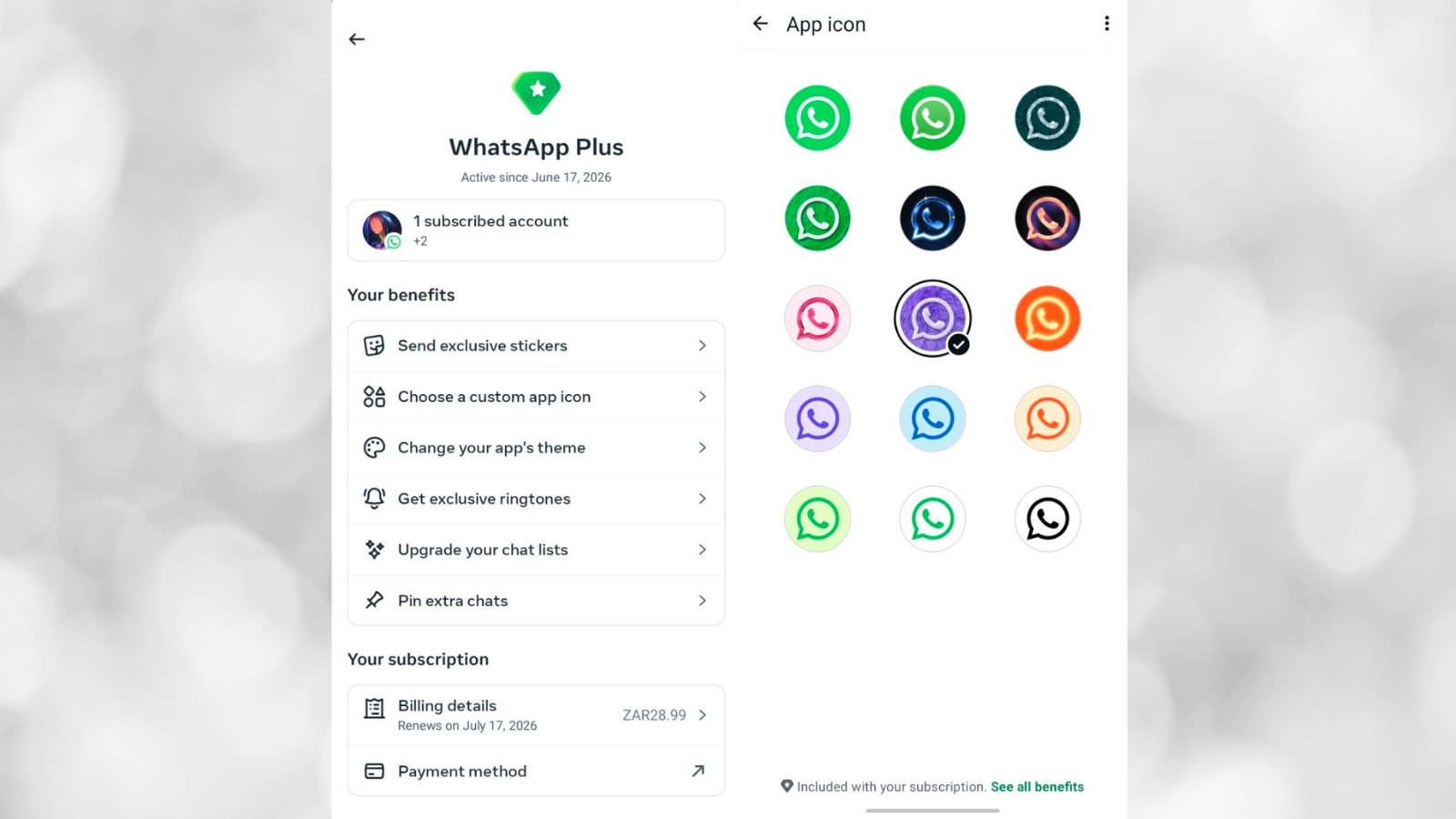 WhatsApp Plus intext4