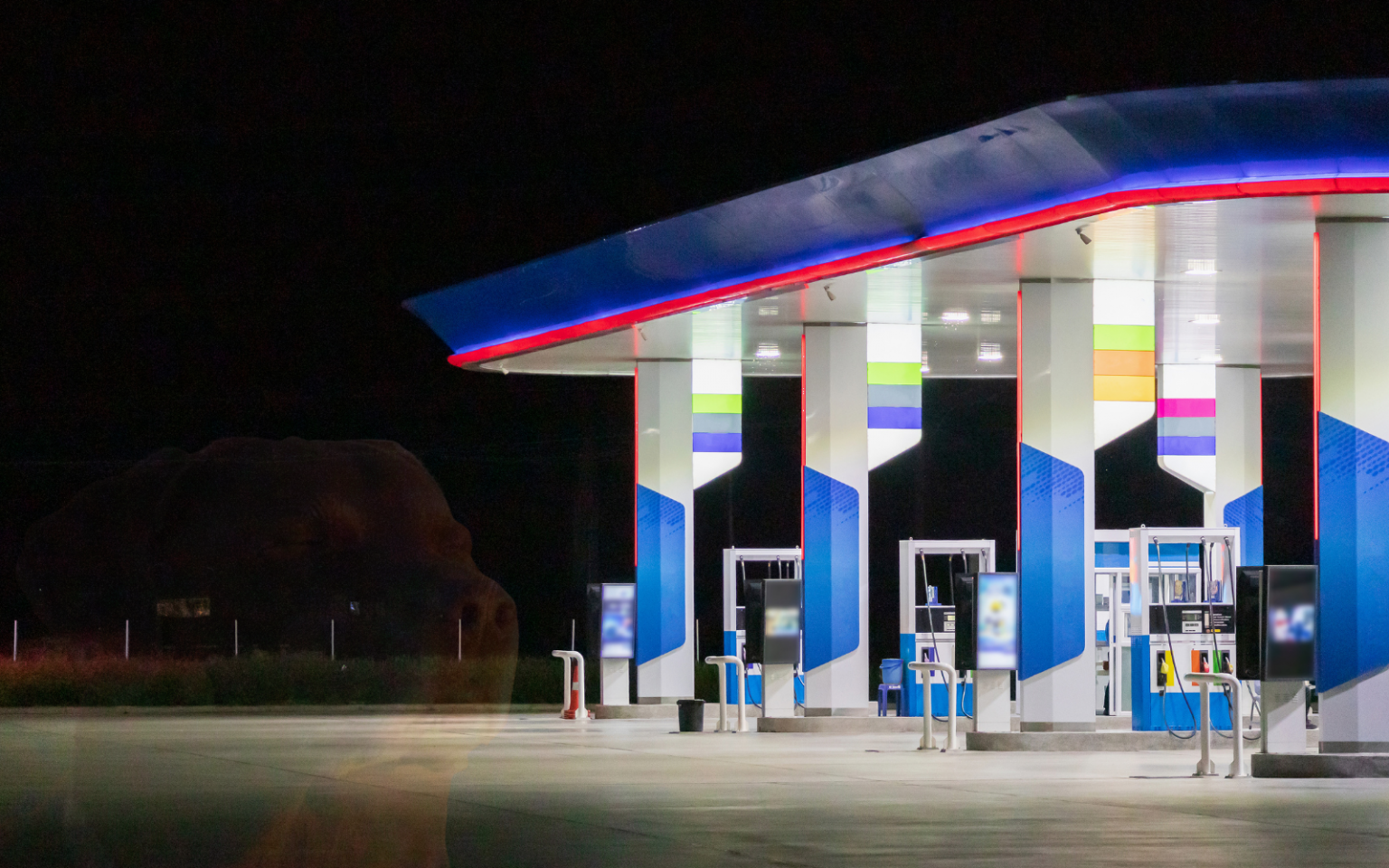 Petrol predictions new header