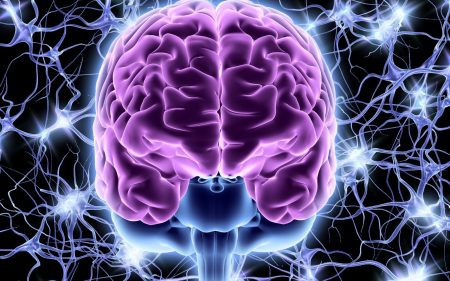 Light brain header